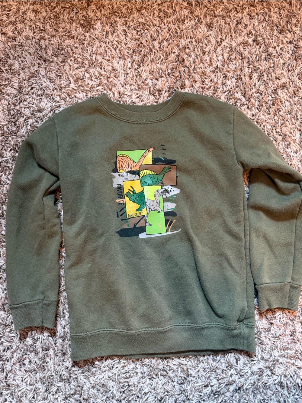 Garanimals Boys’ Dinosaur Long Sleeve Sweater Size 5T